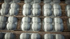 Sustainable Packaging Solutions: Moulded Fibre Packaging: