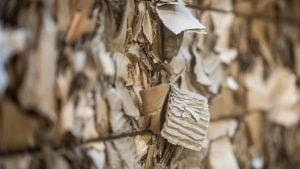 What is Moulded Fibre?