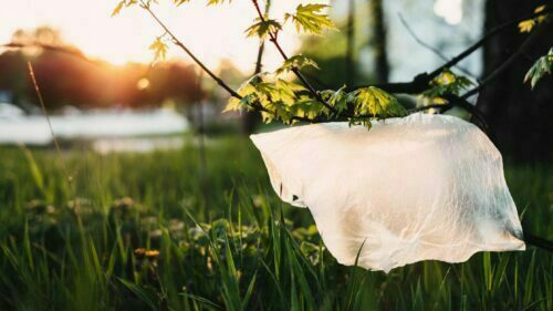 Addressing the Issue of Plastic Packaging Waste in the UK